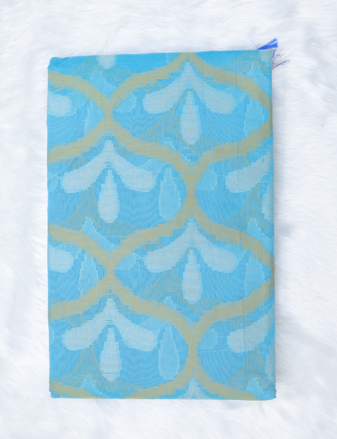 Banarasi Pochampally Silk Saree with Blouse –Sky Blue