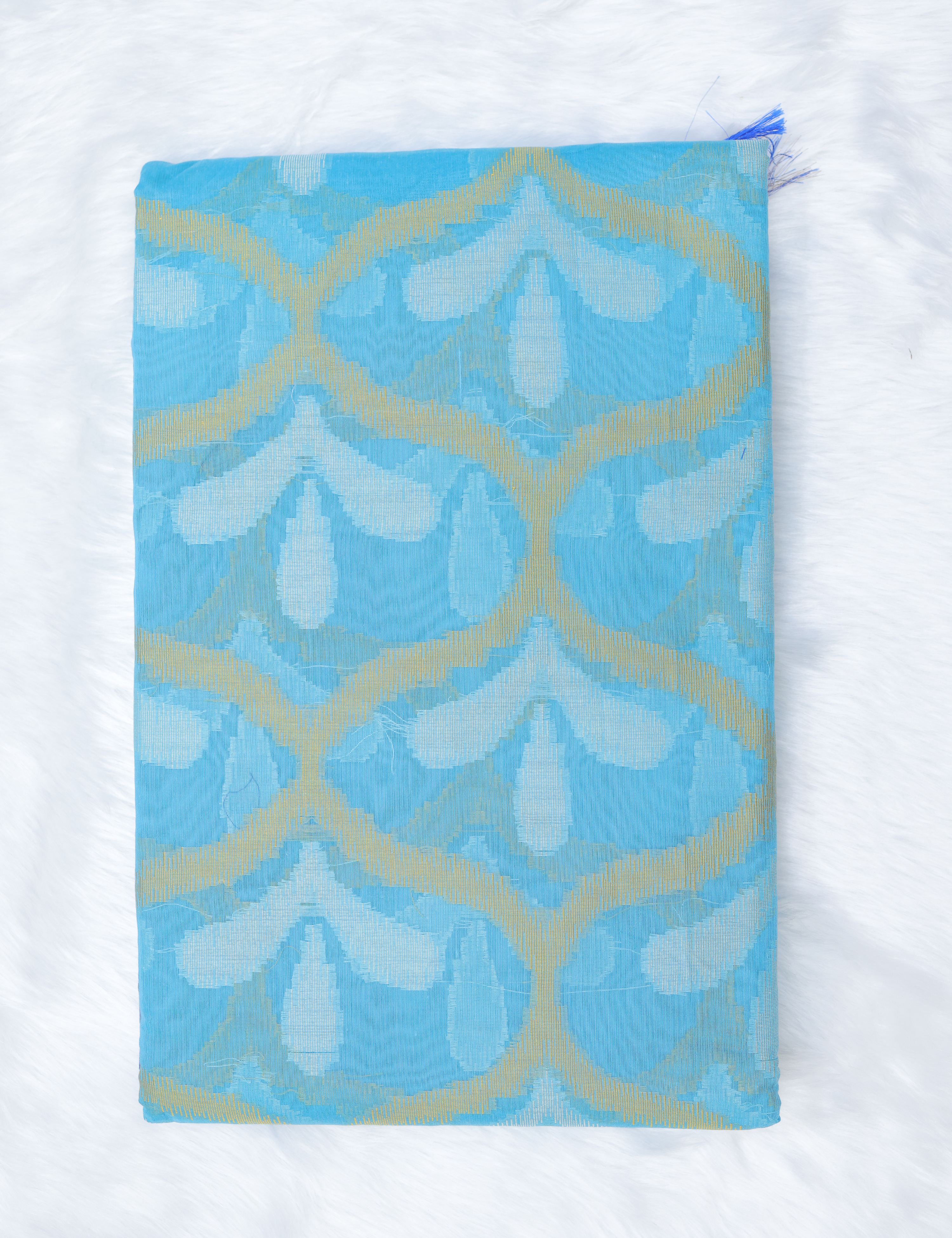 Banarasi Pochampally Silk Saree with Blouse –Sky Blue